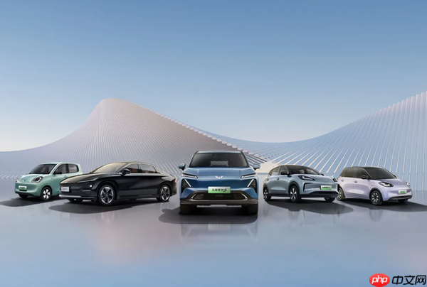 五菱银标品牌6月销量达4.69万辆 同比增幅达38.8%