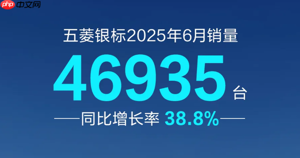 五菱银标品牌6月销量达4.69万辆 同比增幅达38.8%