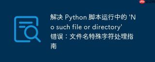 解决 Python 脚本运行中的 'No such file or directory' 错误：文件名特殊字符处理指南