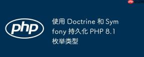 使用 Doctrine 和 Symfony 持久化 PHP 8.1 枚举类型