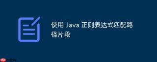 使用 Java 正则表达式匹配路径片段