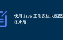 使用 Java 正则表达式匹配路径片段