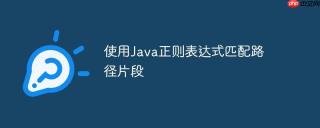 使用Java正则表达式匹配路径片段