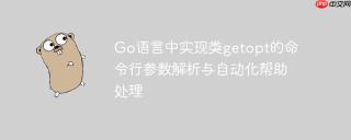 go语言中实现类getopt的命令行参数解析与自动化帮助处理