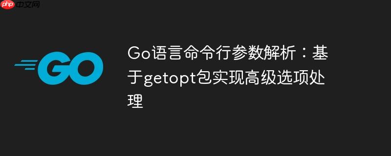 go语言命令行参数解析：基于getopt包实现高级选项处理