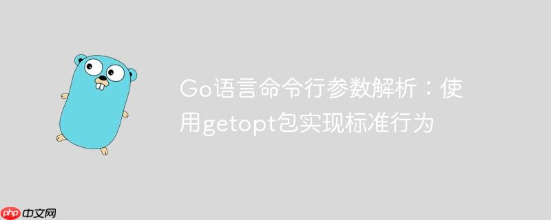 go语言命令行参数解析：使用getopt包实现标准行为