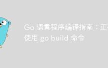 Go 语言程序编译指南：正确使用 go build 命令