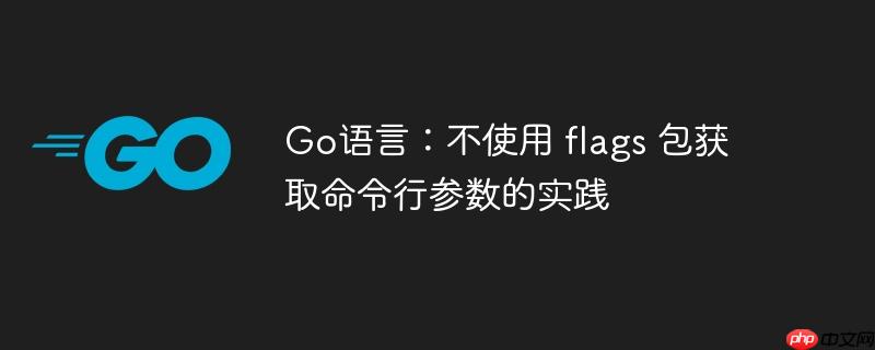 go语言：不使用 flags 包获取命令行参数的实践