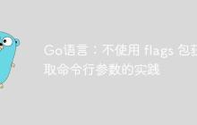 Go语言：不使用 flags 包获取命令行参数的实践