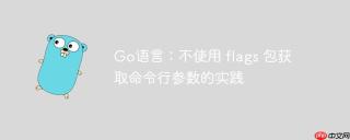Go语言：不使用 flags 包获取命令行参数的实践