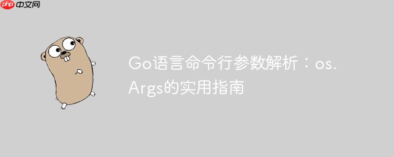 go语言命令行参数解析：os.args的实用指南