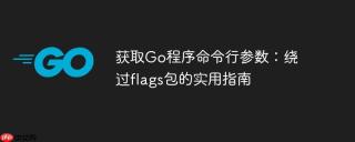 获取go程序命令行参数:绕过flags包的实用指南