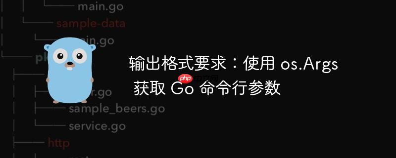 输出格式要求：使用 os.Args 获取 Go 命令行参数
