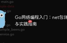 Go网络编程入门：net包详解与实践指南