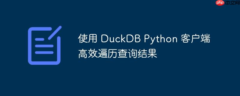 使用 duckdb python 客户端高效遍历查询结果
