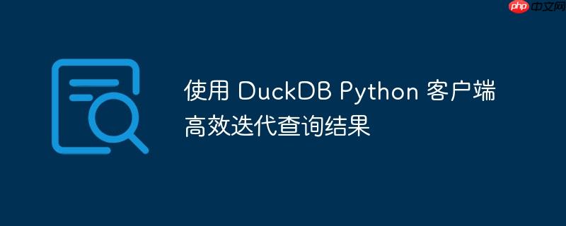 使用 duckdb python 客户端高效迭代查询结果