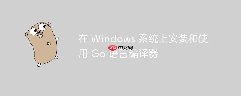 在 windows 系统上安装和使用 go 语言编译器