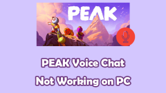 PEAK Voice Chat Not Working on PC: Check This Stepwise Guide!