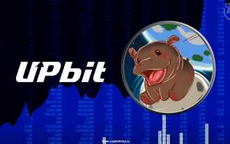 Upbit launches MOODENG on Solana: A meme coin craze?