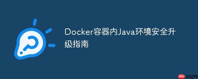 Docker容器内Java环境安全升级指南
