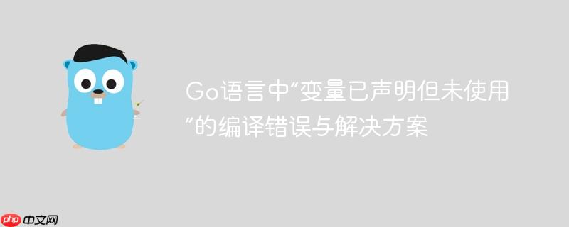 Go语言中“变量已声明但未使用”的编译错误与解决方案
