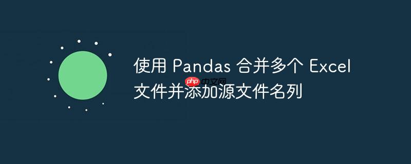 使用 Pandas 合并多个 Excel 文件并添加源文件名列
