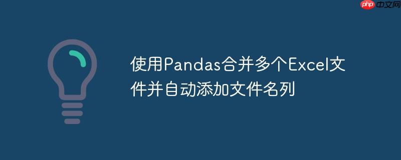 使用Pandas合并多个Excel文件并自动添加文件名列
