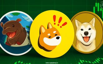 Moo Deng, Neiro, Bonk Shine: The meme coin craze swept the cryptocurrency market!