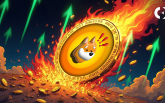 BONK ETF craze: The catalyst for the surge in meme coins?