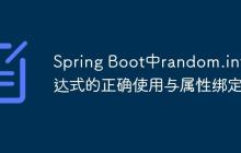 Spring Boot中random.int表达式的正确使用与属性绑定
