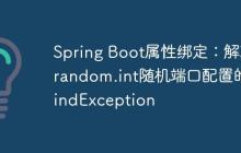 Spring Boot属性绑定:解决random.int随机端口配置的BindException