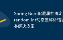 Spring Boot配置属性绑定:random.int动态值解析错误与解决方案