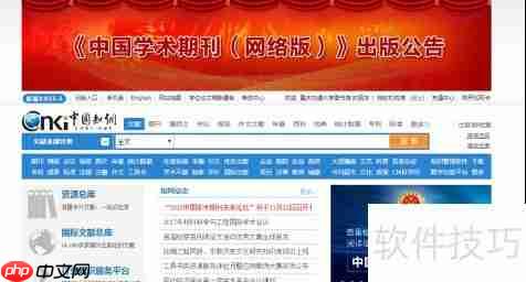 中国知网翻译助手：学术与专业翻译的高效工具