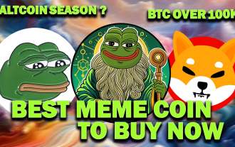 PEPETO: Meme coins pre-sale craze that has attracted investors' attention