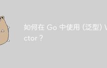 如何在 Go 中使用 (泛型) Vector？