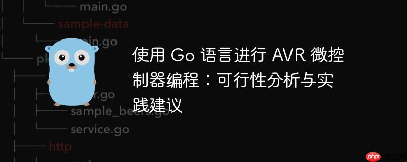使用 go 语言进行 avr 微控制器编程：可行性分析与实践建议