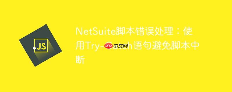 netsuite脚本错误处理：使用try-catch语句避免脚本中断