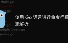 使用 Go 语言进行命令行标志解析