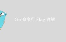 Go 命令行 Flag 详解