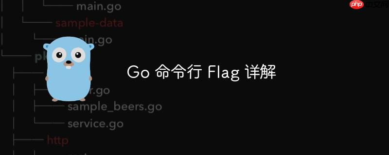 go 命令行 flag 详解