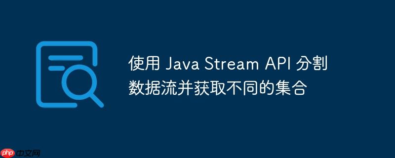 使用 java stream api 分割数据流并获取不同的集合