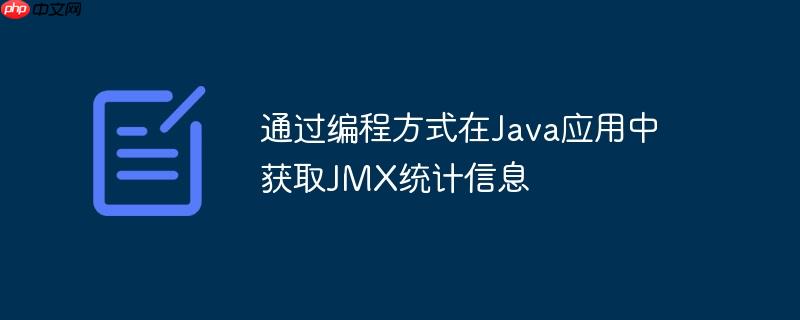 通过编程方式在Java应用中获取JMX统计信息
