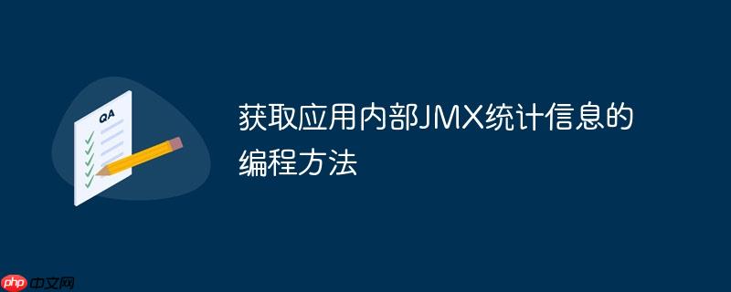 获取应用内部JMX统计信息的编程方法