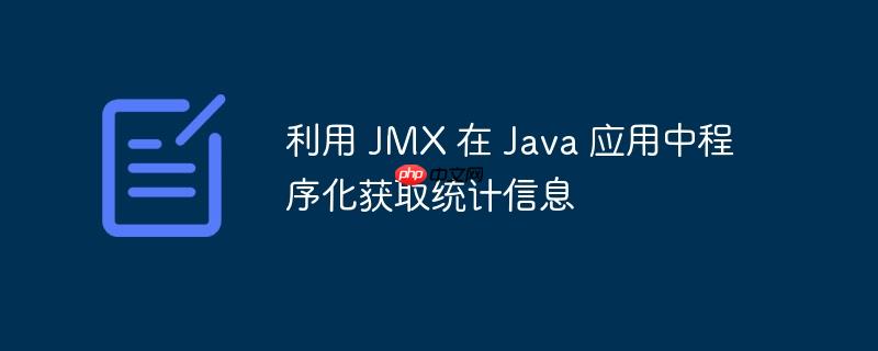 利用 jmx 在 java 应用中程序化获取统计信息