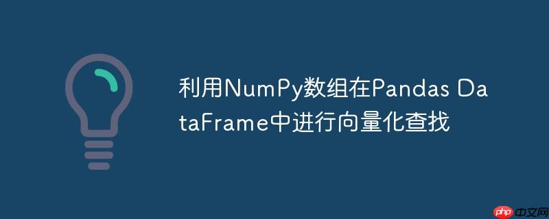 利用numpy数组在pandas dataframe中进行向量化查找