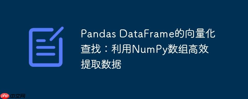 Pandas DataFrame的向量化查找：利用NumPy数组高效提取数据
