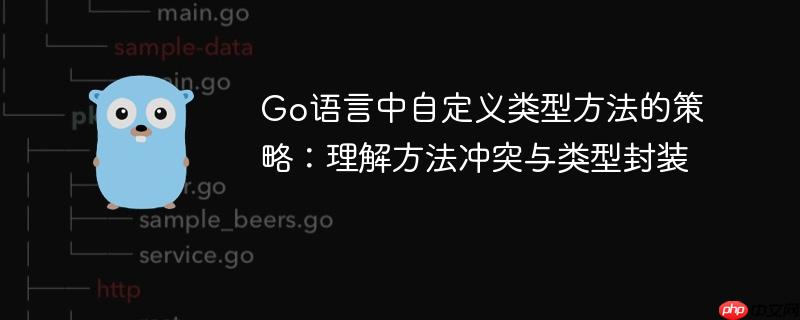 Go语言中自定义类型方法的策略：理解方法冲突与类型封装
