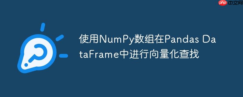 使用numpy数组在pandas dataframe中进行向量化查找