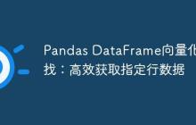 Pandas DataFrame向量化查找：高效获取指定行数据
