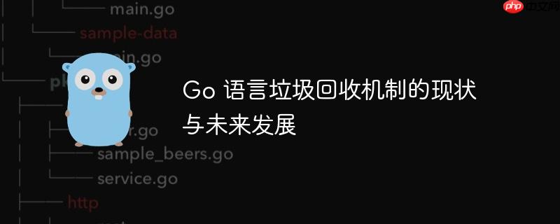go 语言垃圾回收机制的现状与未来发展